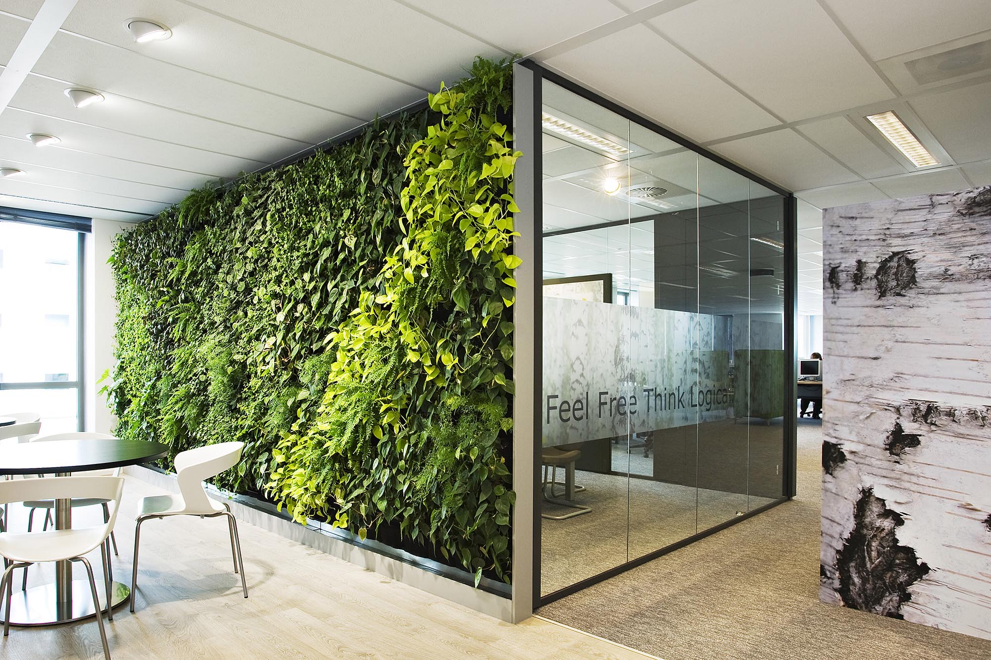 Improve office air quality with office plants!