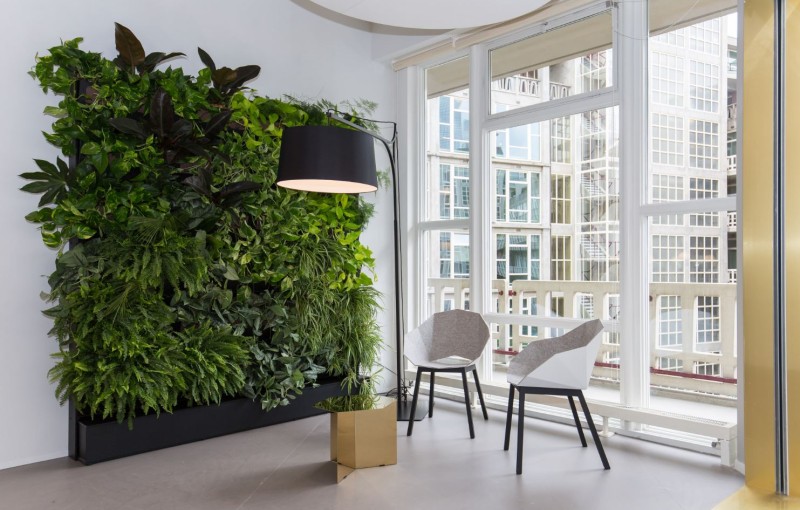 Office plants. Trends and benefits of plants in the office