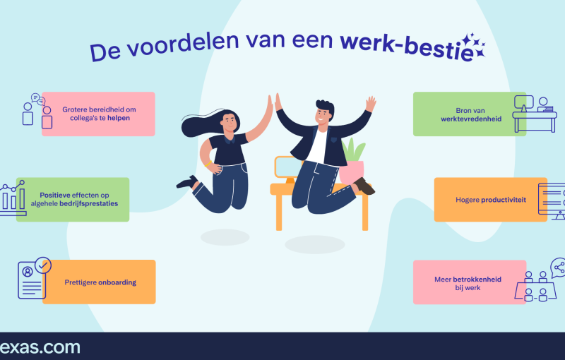 Werkvriendschappen infographic