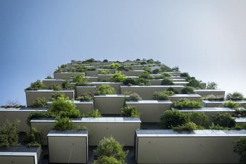 Planten zijn goed voor het aanzicht van een kantoorpand