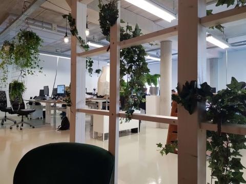 Veel planten op kantoor