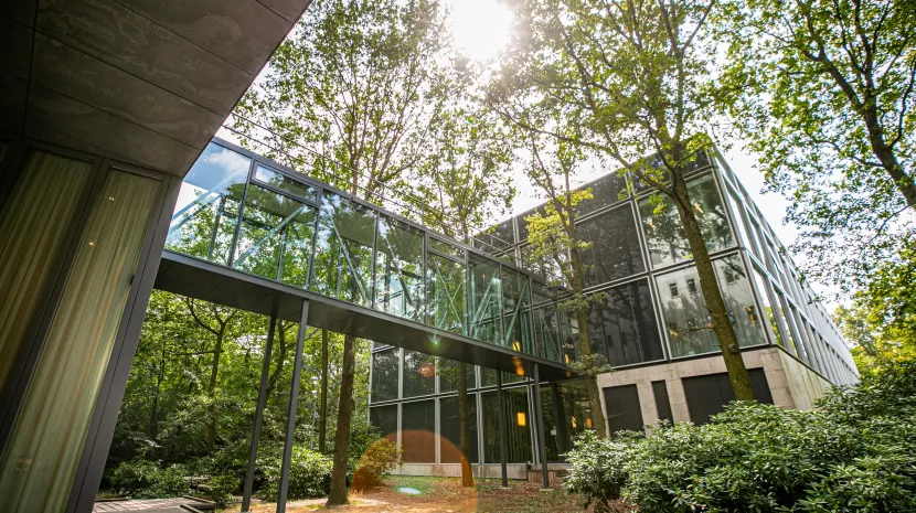 Foto 1 van De Lismortel 31 in Eindhoven