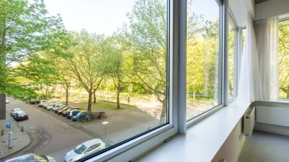 view from office