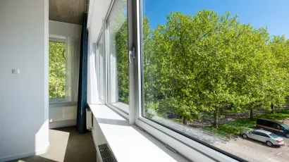 view from office