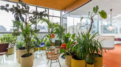 Plant area 
