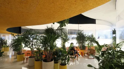 Plant area 