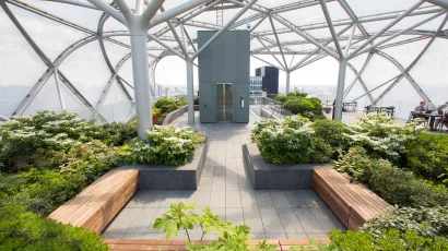 Garden Area