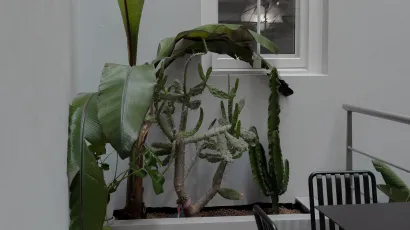 Interior decor 