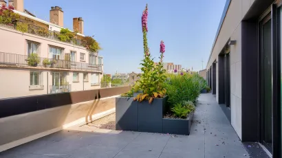 terrace