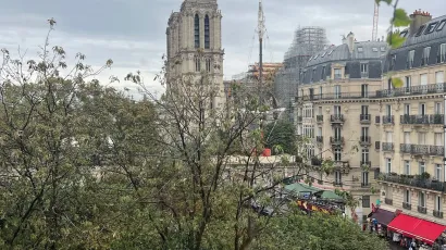 Foto 9 di 6 Rue du Fouarre ad Parigi