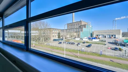 window viw 