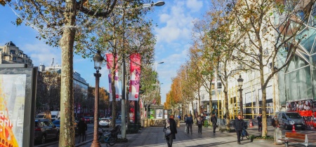 Photo 13 de 34 Avenue des Champs-Élysées à Paris