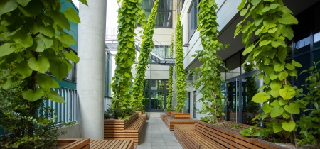 Common area