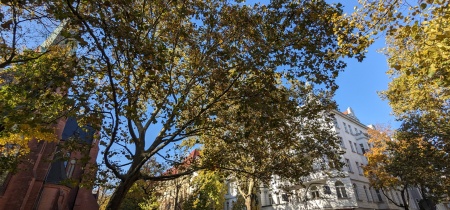 Foto 7 di Düsseldorfer Straße 75 ad Berlino