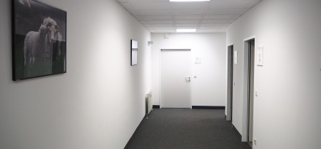 Foto 20 de la Simmeringer Hauptstraße 24 en Viena