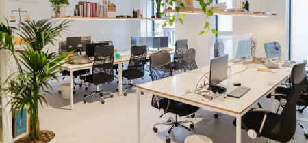 twelve workstations private office trendy