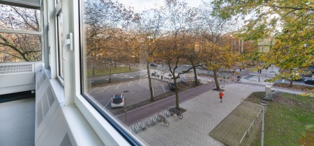 Buitenzicht