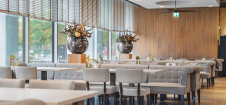 Foto 25 di Professor E.M. Meijerslaan 1 ad Amstelveen