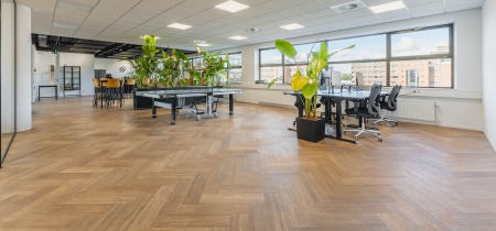 Foto 10 di Beechavenue 30 ad Aeroporto di Amsterdam-Schiphol