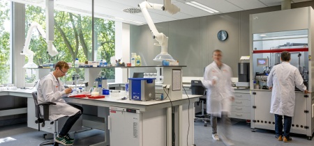 Foto 5 van De Lismortel 31 in Eindhoven
