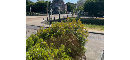 Photo 12 de De la Reijstraat 7 à Arnhem