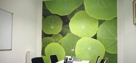 Foto 10 der Fleischmarkt 1 in Wien