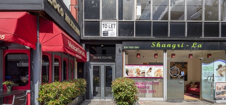 Foto 21 di 66 Wilton Road ad Londra