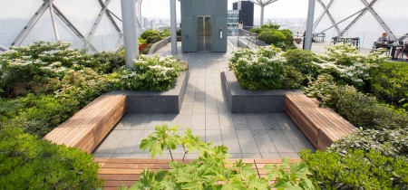 Garden Area