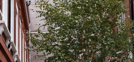 Foto 5 di 11-12 Token Yard ad Londra