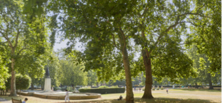 Green space Cavendish Square 