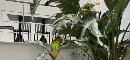 Foto 5 di 22 King Street ad Londra