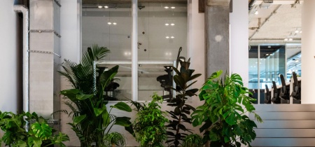 Common area
