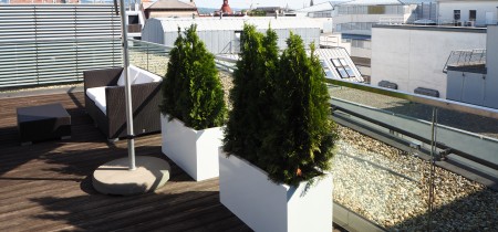 roof terrace