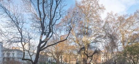 Foto 9 di 22 St James Square ad Londra