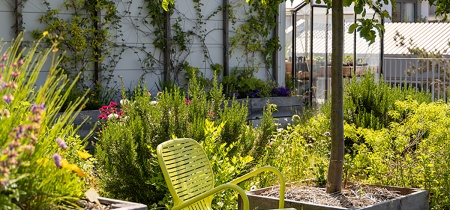 garden