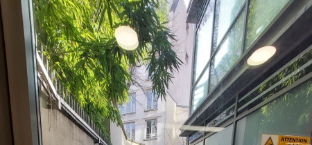 Foto 6 der 28 Rue de Londres in Paris