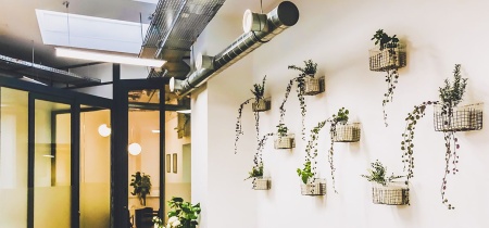 working area