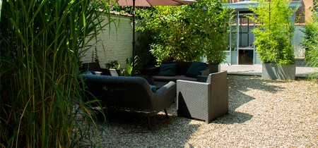 relaxation area/ garden
