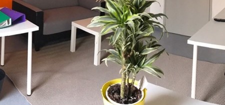 Foto 9 van 130 Avenue de l'Industrie in Rillieux-la-Pape