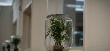 Eendrachtlaan 100 - 260