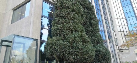 Foto 2 der Nevelgaarde 8 in Nieuwegein