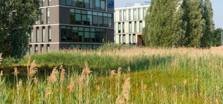 Foto 3 van High Tech Campus - Landscape Villa  - Landscape Villa in Eindhoven