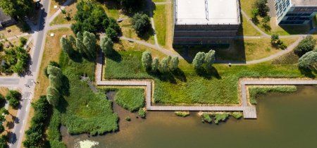 Foto 9 van High Tech Campus - Landscape Villa  - Landscape Villa in Eindhoven