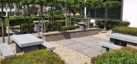 Savannahweg 17
