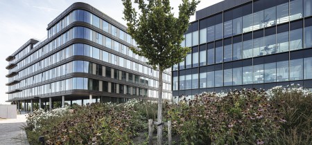 surrounding office