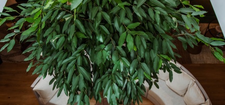 Foto 6 di 41 Iffley Rd, London ad Londra