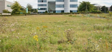 Building Pegasuslaan 5