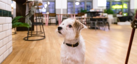 Foto 5 der Neue Schönhauser Straße 3-5 in Berlin