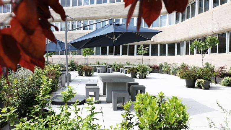 Garden outside terrace