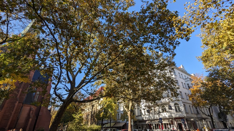 Foto 7 de la Düsseldorfer Straße 75 en Berlín